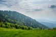 Germany, Endless black forest mountain landscape in nature on mountain Kandel