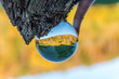 Glaskugel im Herbst mit wiese und hügel in der Kugel