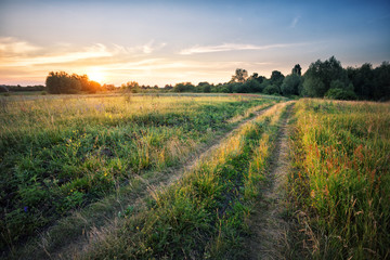 Wall Mural - country road in field with dense grass at sunset