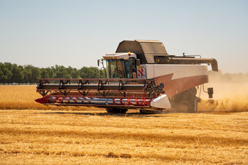 Combine harvester for harvesting wheat. 