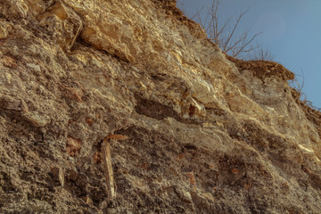 Rock Cliff Face with Old Tree Wood & Brush