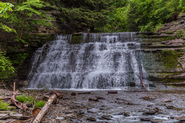 Wall Mural - Waterfall with fallen trees and logs