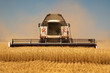 © scharfsinn86 - Combine harvester for harvesting wheat.