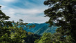 View of the hillsides from Mount Takao