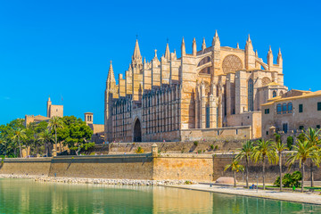 Wall Mural - Catedral de Mallorca, Spain