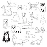 Fototapeta Pokój dzieciecy - Cat Coloring Book Cartoon Cute Characters Cartoon Set Vector Illustration