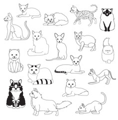  Cat Coloring Book Cartoon Cute Characters Cartoon Set Vector Illustration
