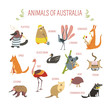 Australian animals vector cartoon design