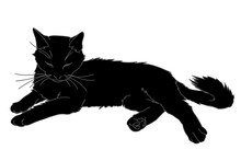 Cute Realistic Cat Laying. Vector Illustration Of Black Kitty Isolated On White Background. Element For Your Design, Print, Sticker. Black Cat In Simple Sketch Style. Line Art And Silhouette.