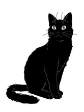 猫の生活3 無料画像 Public Domain Pictures 猫の生活3 無料画像 Public Domain Pictures