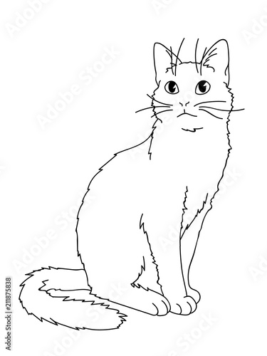 Cute realistic cat sitting. Vector illustration of kitty looking up