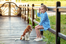 Beautiful Fashion Little Lady Girl Waiting On Bridge Pier,outdoors. Stylish Child 6-7 Years Looks Away, Near Sit Cute Cocker Spaniel Puppy. Summer, Sunny Day, Evening. Fashion Kid Concept. Copy Space.