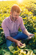 © Zoran Zeremski - Young farmer in filed holding tablet in his hands and examining soybean corp.