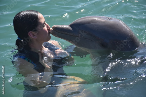 Plakat całując delfina