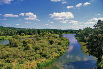 A beautiful landscape of a green island on two sides that bends around a river with a growing forest on the shore against a blue sky with clouds.