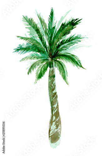 Naklejka na szybę Wektorowe drzewko palmowe
