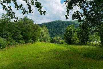 A pleasant lawn with soft lush grass with trees growing around it and a beautiful view of the green forest growing on the slope.