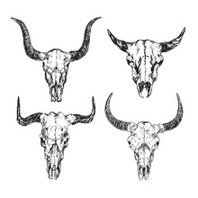 Skulls Of Bulls With Horns Set,  Hand Drawn Ink Doodle, Sketch, Vector Outline Illustration