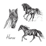 Fototapeta Konie - Black horse set, hand drawn ink doodle, sketch, vector black and white illustration