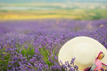 White Straw Female Hat In A Lavender Field