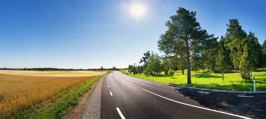 Wall Mural - asphalt road view in countryside at beautiful sunny day