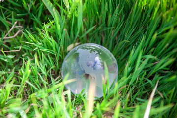 glass globe on grass symbol of green & eco environment