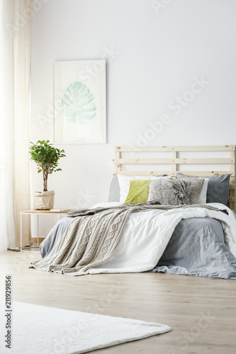 Poster Of Monstera Deliciosa Leaf Hanging On The Wall In Bright