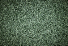 Vintage Green Grass And Texture Filed Background