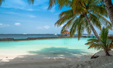 Fototapeta Krajobraz - Palm trees making shadow on the beach. Chill out. Maldives 