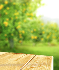 Wall Mural - table background and summer time