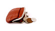 Small coin bag with white backdrop.