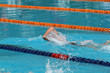 © wibulpas - Swimmer swims free style, front crawl or forward crawl stroke in a swimming pool for competition or race