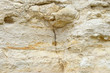 Warm limestone texture