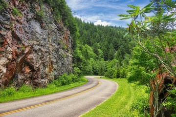 Wall Mural - Blue Ridge Parkway in North Carolina