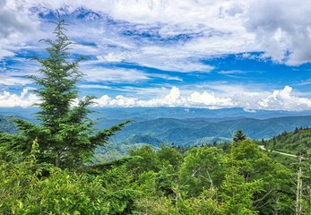 Wall Mural - Blue Ridge Parkway in North Carolina