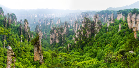 Wall Mural - beautiful panorama of karst mountains in zhiangjiajie national park, china