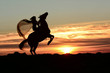 Rearing up horse, queen rider with mantle riding a horse stallion to fantasy clouds on sunset. Equine and girls silhouette jumping on peak mountain with cloudy sky.