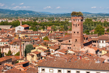 Wall Mural - Aerial view of Lucca, in Tuscany; the tower on the right is called 