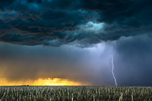 Lightning Storm Over Field In Oklahoma