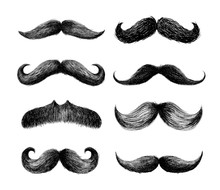 Set Of Moustaches. Hand Drawn Black Mustache For Barbershop Or Mustache Carnival. Freehand Drawing. Vector Illustration. Isolated On White Background