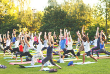 A Group Of Young People Do Yoga In The Park At Sunset.