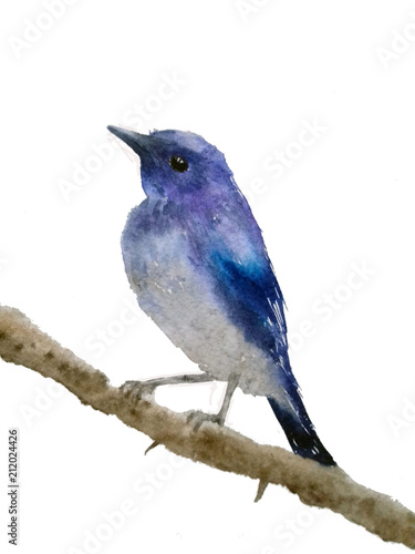 Fototapeta na wymiar Niebieski ptak na gałęzi