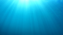 Underwater Blue Ocean Background 