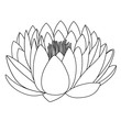 Outlined lotus pattern flower