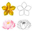 Golden metal pattern flower, pink lotus