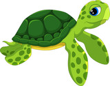 Fototapeta Dinusie - Cute sea turtle cartoon isolated on white background