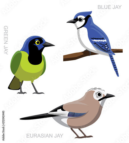 Fotomural Bird Jay Set Cartoon Vector Illustration