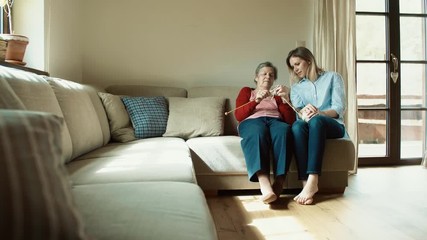 Wall Mural - Elderly grandmother and adult granddaughter at home, knitting.