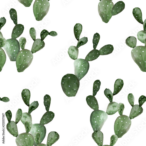 akwarela-obraz-kaktusa-opuntia-na-bialym-tle