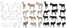 Vector Isolated Donkey, Mule, Outline, Collection Of Silhouettes